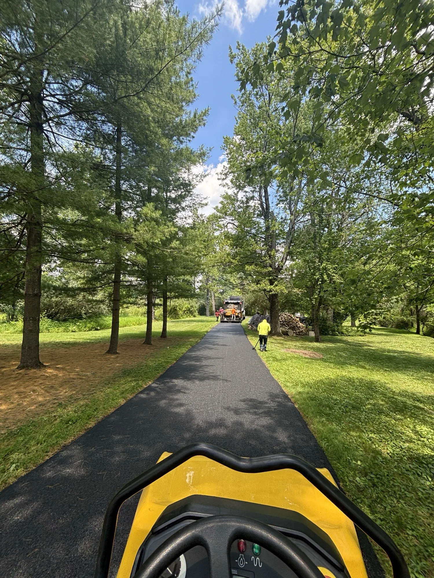 Long pine-tree-lined driveway freshly paved by All County Paving